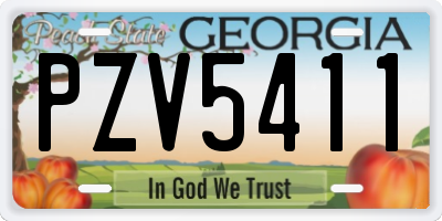 GA license plate PZV5411