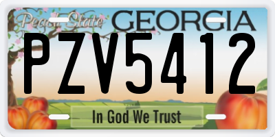 GA license plate PZV5412