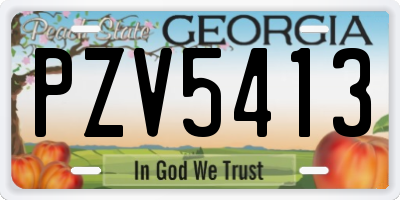 GA license plate PZV5413