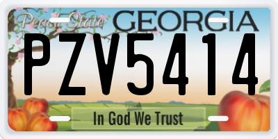 GA license plate PZV5414