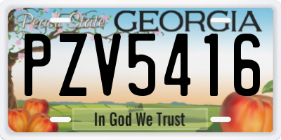 GA license plate PZV5416