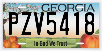 GA license plate PZV5418