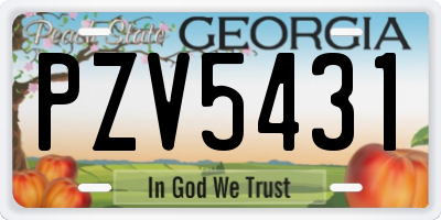 GA license plate PZV5431