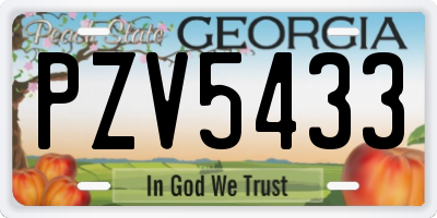 GA license plate PZV5433