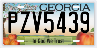GA license plate PZV5439