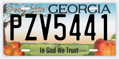 GA license plate PZV5441