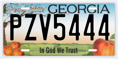 GA license plate PZV5444