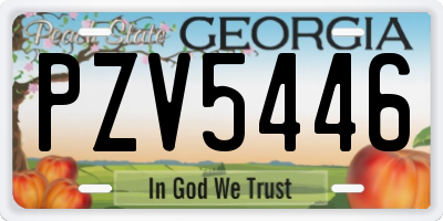 GA license plate PZV5446