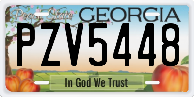 GA license plate PZV5448