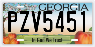 GA license plate PZV5451