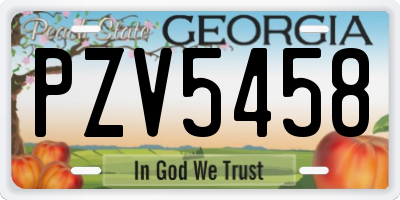 GA license plate PZV5458