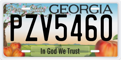 GA license plate PZV5460