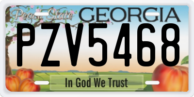 GA license plate PZV5468