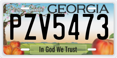 GA license plate PZV5473
