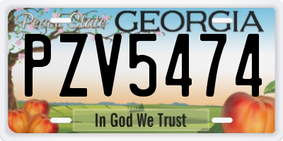GA license plate PZV5474