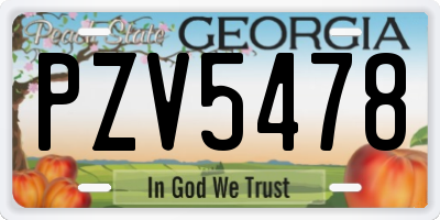 GA license plate PZV5478