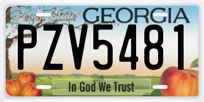 GA license plate PZV5481