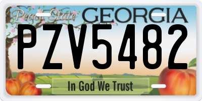 GA license plate PZV5482