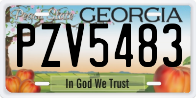 GA license plate PZV5483