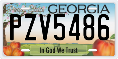 GA license plate PZV5486