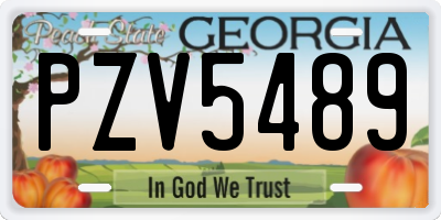 GA license plate PZV5489