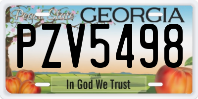 GA license plate PZV5498