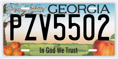 GA license plate PZV5502