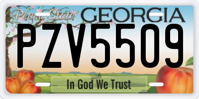 GA license plate PZV5509