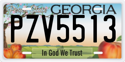 GA license plate PZV5513