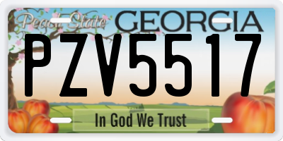 GA license plate PZV5517