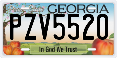 GA license plate PZV5520
