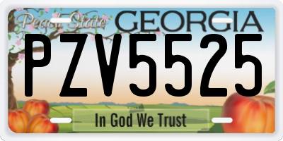 GA license plate PZV5525