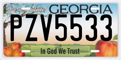GA license plate PZV5533