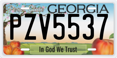 GA license plate PZV5537
