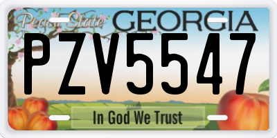 GA license plate PZV5547