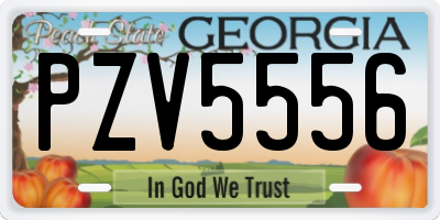 GA license plate PZV5556