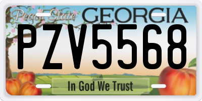 GA license plate PZV5568