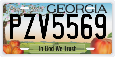 GA license plate PZV5569