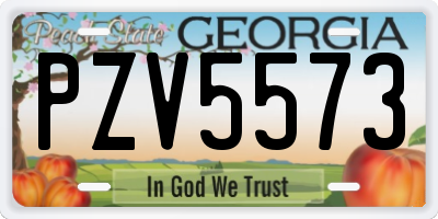GA license plate PZV5573