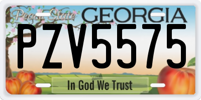GA license plate PZV5575