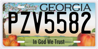 GA license plate PZV5582