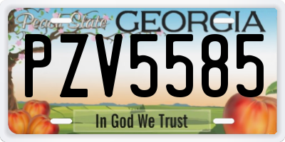 GA license plate PZV5585