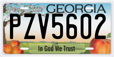 GA license plate PZV5602