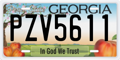 GA license plate PZV5611