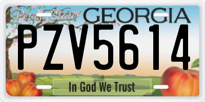 GA license plate PZV5614