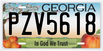 GA license plate PZV5618