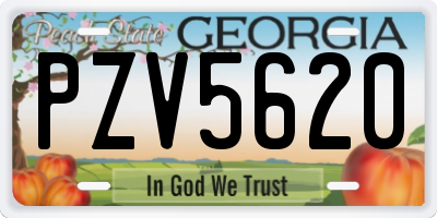 GA license plate PZV5620