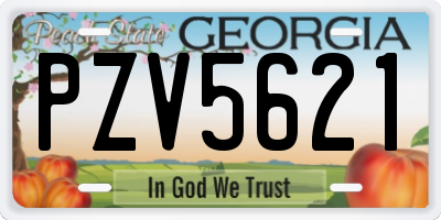 GA license plate PZV5621