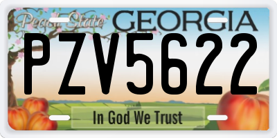 GA license plate PZV5622
