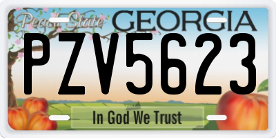 GA license plate PZV5623